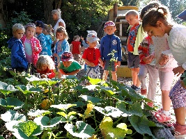 Děti z mateřské školy sklidily úrodu v Safari Parku Dvůr Králové. Foto (c) Simona Jiřičková
