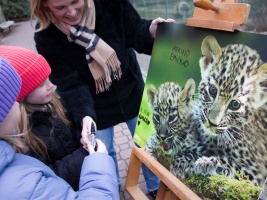 Mláďata levhartů v Safari Parku Dvůr Králové dostala jména od Nadace ČEZ. Foto (c) Simona Jiřičková