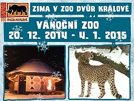 Vánoční zoo v ZOO Dvůr Králové (c) Jana Myslivečková