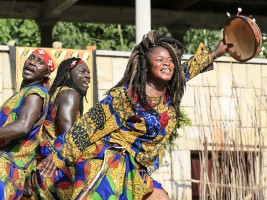 ZOO Dvůr Králové se od soboty rozezní rytmy Afrického festivalu