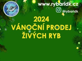 Vánoční prodej živých ryb 2024 Dvůr Králové nad Labem