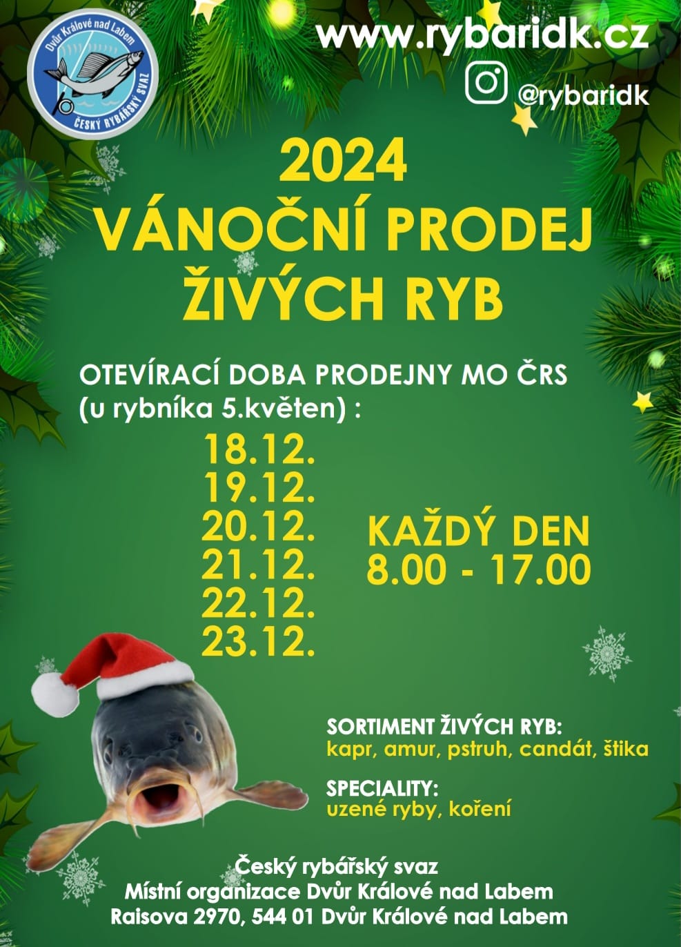 Vánoční prodej živých ryb 2024, Dvůr Králové nad Labem