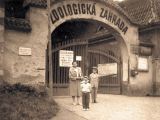 Vchod do zoo (okolo roku 1958)
