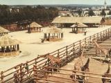 Africké safari v zoo (okolo roku 1972)