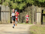 Safariběh ČSOB 2018 - 10 km