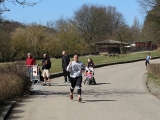 Safariběh ČSOB 2018 - 5 km
