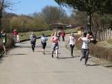 Safariběh ČSOB 2018 - 5 km