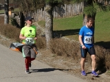 Safariběh ČSOB 2018 - 5 km