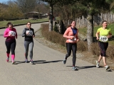 Safariběh ČSOB 2018 - 5 km
