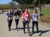 Safariběh ČSOB 2018 - 5 km
