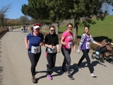 Safariběh ČSOB 2018 - 5 km