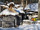 ZOO Dvůr Králové