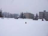 DSCF0065