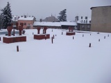 DSCF0080
