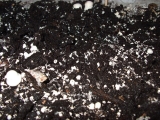 Krycí zemina prorostlá myceliem (podhoubím)